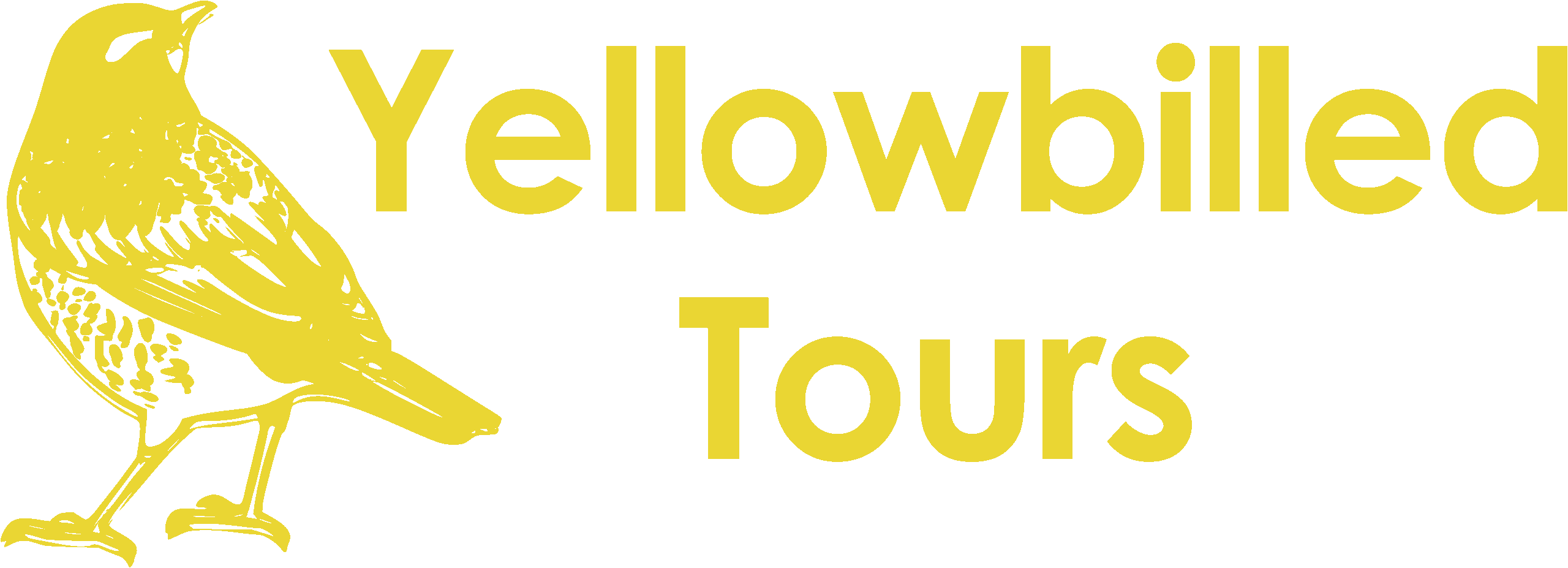 Yellow Billed Tours