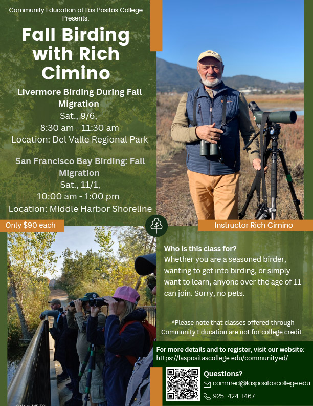 Fall Birding Class with Rich Cimino