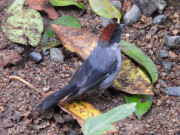 DSCN7374