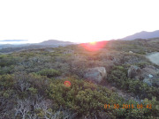 DSCN5449